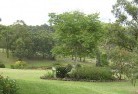 Kerang Eastresidential-landscaping-40.jpg; ?>